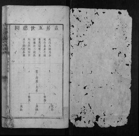 江西陈氏族谱-石城学上陈氏族谱.pdf电子版预览图1