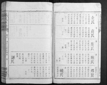 湖南戴氏族谱-戴氏族谱.pdf电子版预览图3