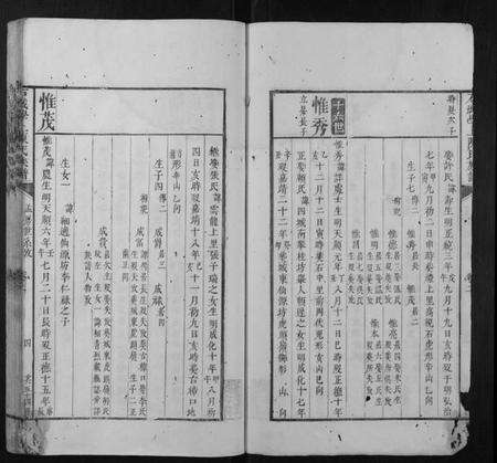 江西陈氏族谱-石城学上陈氏族谱.pdf电子版预览图4