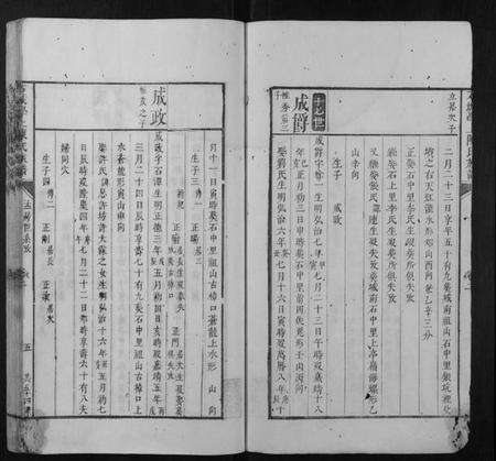 江西陈氏族谱-石城学上陈氏族谱.pdf电子版预览图5