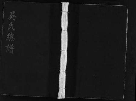 浙江吴氏族谱-吴氏总谱 [不分卷].pdf电子版缩略图