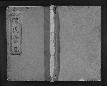 江西陈氏族谱-义门陈氏宗谱.pdf电子版缩略图