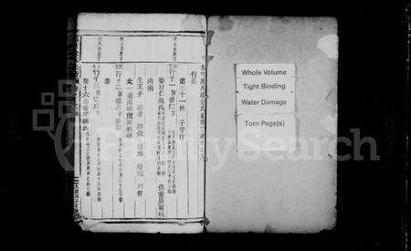 浙江金氏族谱-吕前金氏宗谱 [残卷].pdf电子版预览图1