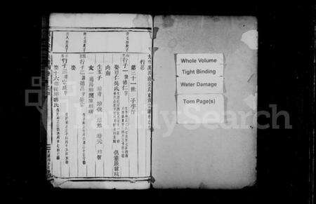 浙江金氏族谱-吕前金氏宗谱 [残卷].pdf电子版预览图2