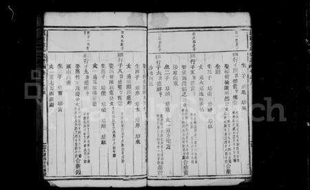 浙江金氏族谱-吕前金氏宗谱 [残卷].pdf电子版预览图3