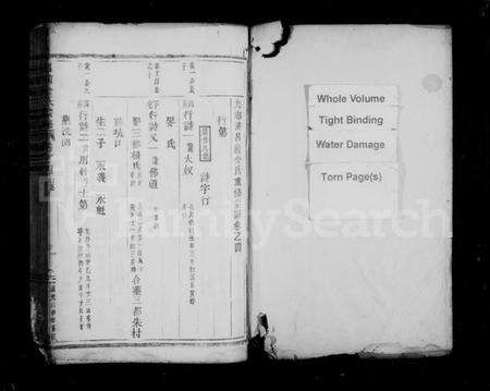 浙江金氏族谱-吕前金氏宗谱 [残卷].pdf电子版预览图1