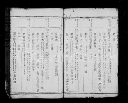 浙江金氏族谱-吕前金氏宗谱 [残卷].pdf电子版预览图2