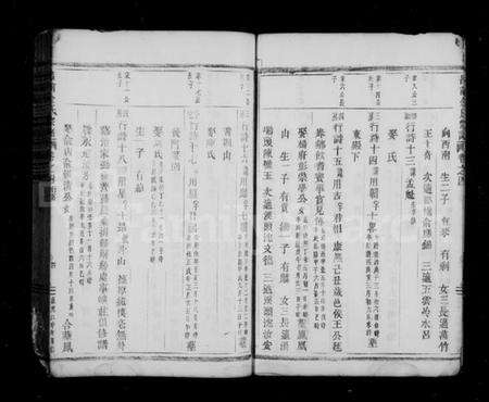 浙江金氏族谱-吕前金氏宗谱 [残卷].pdf电子版预览图4