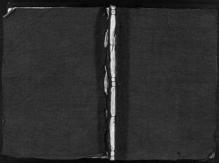 浙江蔡氏族谱-吕家田蔡氏宗谱 [不分卷].pdf电子版缩略图