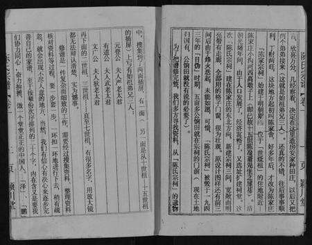 江苏陈氏族谱-陈氏宗谱[不分卷].pdf电子版预览图2