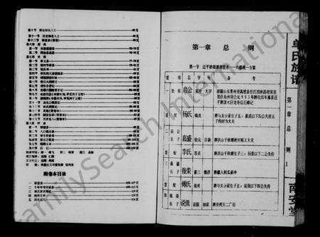 湖南单氏族谱-单氏族谱.pdf电子版预览图5