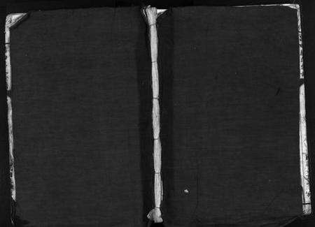 浙江蔡氏族谱-吕田蔡氏宗谱 [不分卷].pdf电子版缩略图