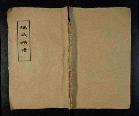 江苏陈氏族谱-陈氏族谱 [存3卷].pdf电子版缩略图