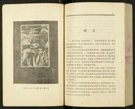 浙江周氏族谱-[周氏]鲁迅年谱.pdf电子版预览图4