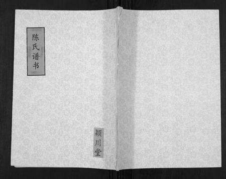 江苏陈氏族谱-陈氏族谱[不分卷].pdf电子版缩略图