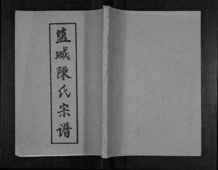 江苏陈氏族谱-盐城陈氏宗谱.pdf电子版缩略图