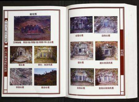 江西陈氏族谱-[陈氏]汀州庄戴家埔合修族谱.pdf电子版预览图5