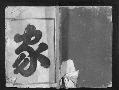 浙江施氏族谱-唐先施氏宗谱.pdf电子版缩略图