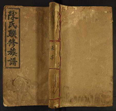 江西陈氏族谱-雩邑陈氏联修族谱.pdf电子版缩略图