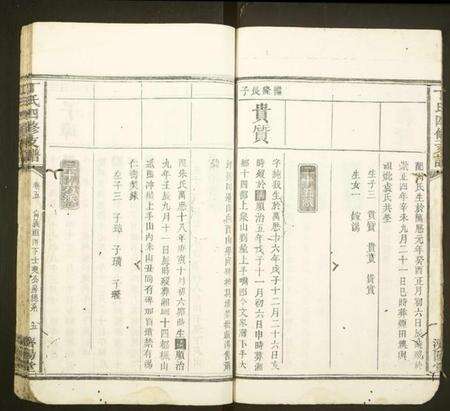 湖南丁氏族谱-丁氏四修族谱.pdf电子版预览图5