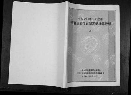 湖北陈氏族谱-中华义门陈氏大成谱.pdf电子版缩略图