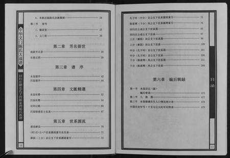 湖北陈氏族谱-中华义门陈氏大成谱[不分卷].pdf电子版预览图4