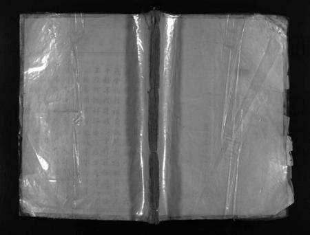 浙江严氏族谱-严氏宗谱 [不分卷].pdf电子版缩略图