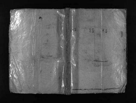 浙江严氏族谱-严氏宗谱 [不分卷].pdf电子版缩略图