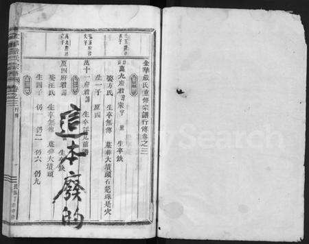 浙江严氏族谱-严氏宗谱 [残卷].pdf电子版预览图1