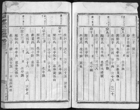 浙江严氏族谱-严氏宗谱 [残卷].pdf电子版预览图4