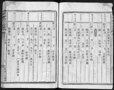 浙江严氏族谱-严氏宗谱 [残卷].pdf电子版预览图5