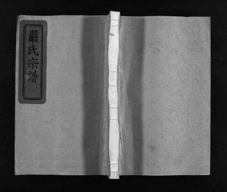 浙江严氏族谱-严氏宗谱 [残卷].pdf电子版缩略图