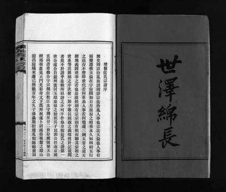 浙江严氏族谱-严氏宗谱 [残卷].pdf电子版预览图2