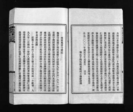 浙江严氏族谱-严氏宗谱 [残卷].pdf电子版预览图3