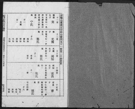 湖北陈氏族谱-应城西陈宗谱.pdf电子版预览图1