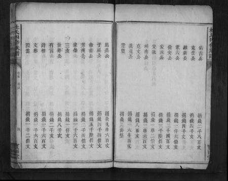 湖南杜氏族谱-杜氏四修族谱.pdf电子版预览图5