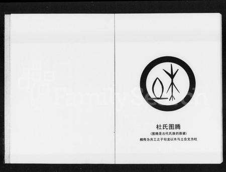 湖南杜氏族谱-杜氏联宗谱.pdf电子版预览图2