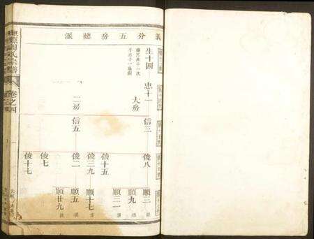 浙江周氏族谱-坦源周氏宗谱.pdf电子版预览图1