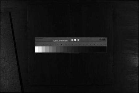 浙江多姓氏族谱-坦阳金氏宗谱 [20卷].pdf电子版缩略图