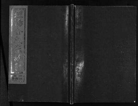 浙江多姓氏族谱-坦阳金氏宗谱 [20卷].pdf电子版预览图1