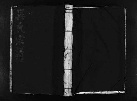 浙江吴氏族谱-埭川吴氏宗谱 [2卷].pdf电子版预览图1