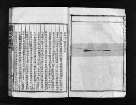 浙江吴氏族谱-埭川吴氏宗谱 [不分卷].pdf电子版预览图5