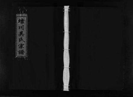 浙江吴氏族谱-埭川吴氏宗谱 [按房分卷].pdf电子版预览图1