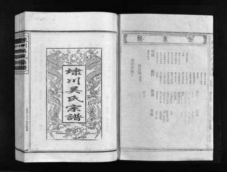 浙江吴氏族谱-埭川吴氏宗谱 [按房分卷].pdf电子版预览图2