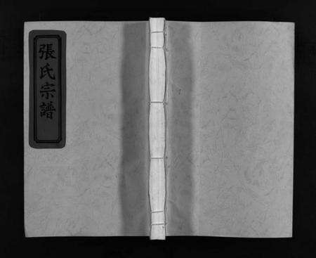 浙江张氏族谱-埭头张氏宗谱 [不分卷].pdf电子版预览图1