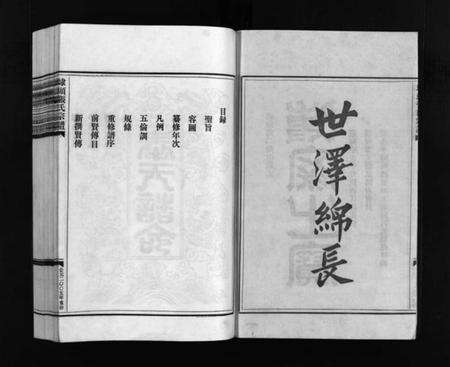 浙江张氏族谱-埭头张氏宗谱 [不分卷].pdf电子版预览图3