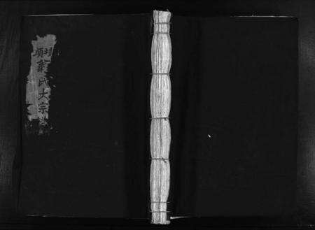 浙江翁氏族谱-埭头翁氏宗谱 [不分卷].pdf电子版预览图1