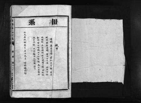 浙江翁氏族谱-埭头翁氏宗谱 [不分卷].pdf电子版预览图2