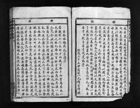 浙江吴氏族谱-塔桥吴氏宗谱 [不分卷].pdf电子版预览图4