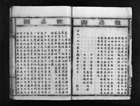 浙江吴氏族谱-塔桥吴氏宗谱 [不分卷].pdf电子版预览图5